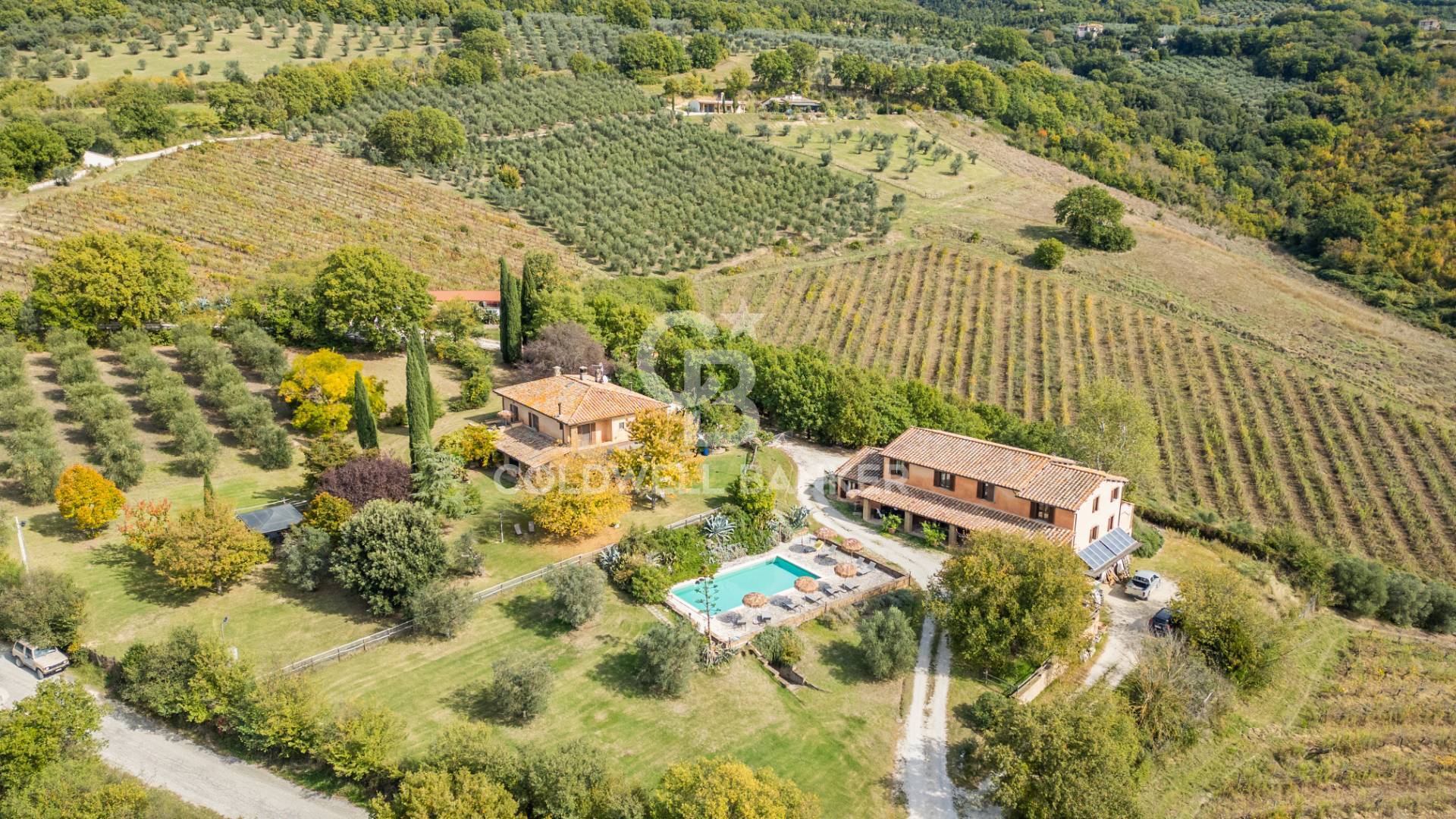 Tenuta in vendita a Montecchio