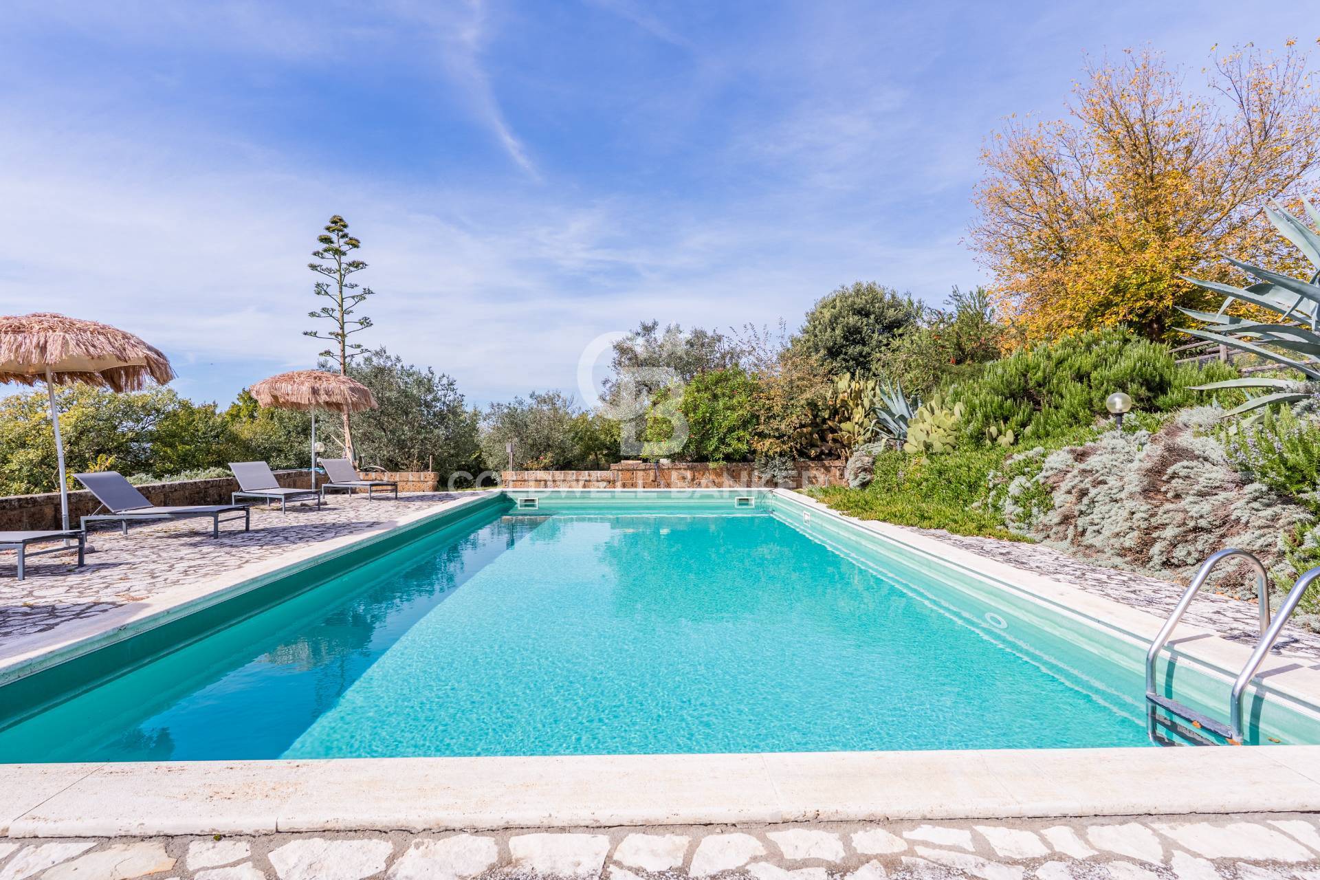 Tenuta in vendita a Montecchio