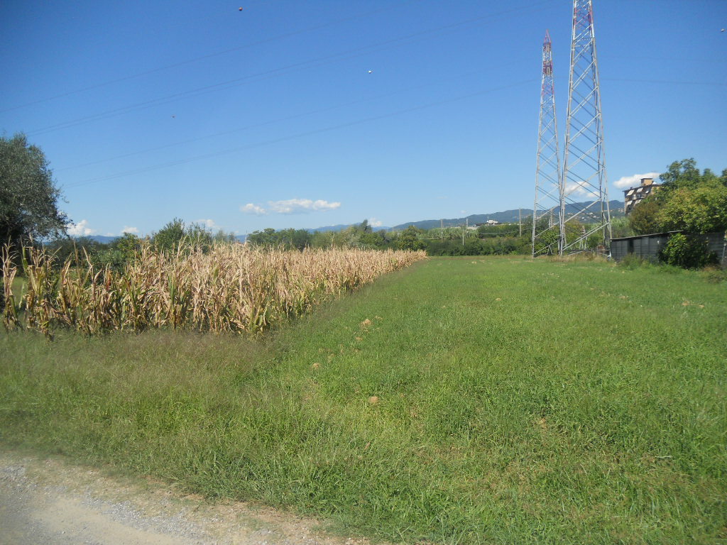 Terreno Agricolo in vendita in via gragnola 13, Castelnuovo Magra