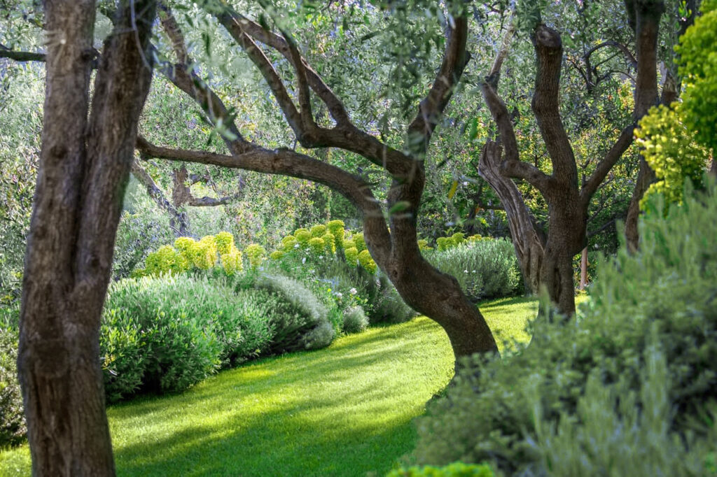 Villa con giardino in via belvedere 6a, Sarzana