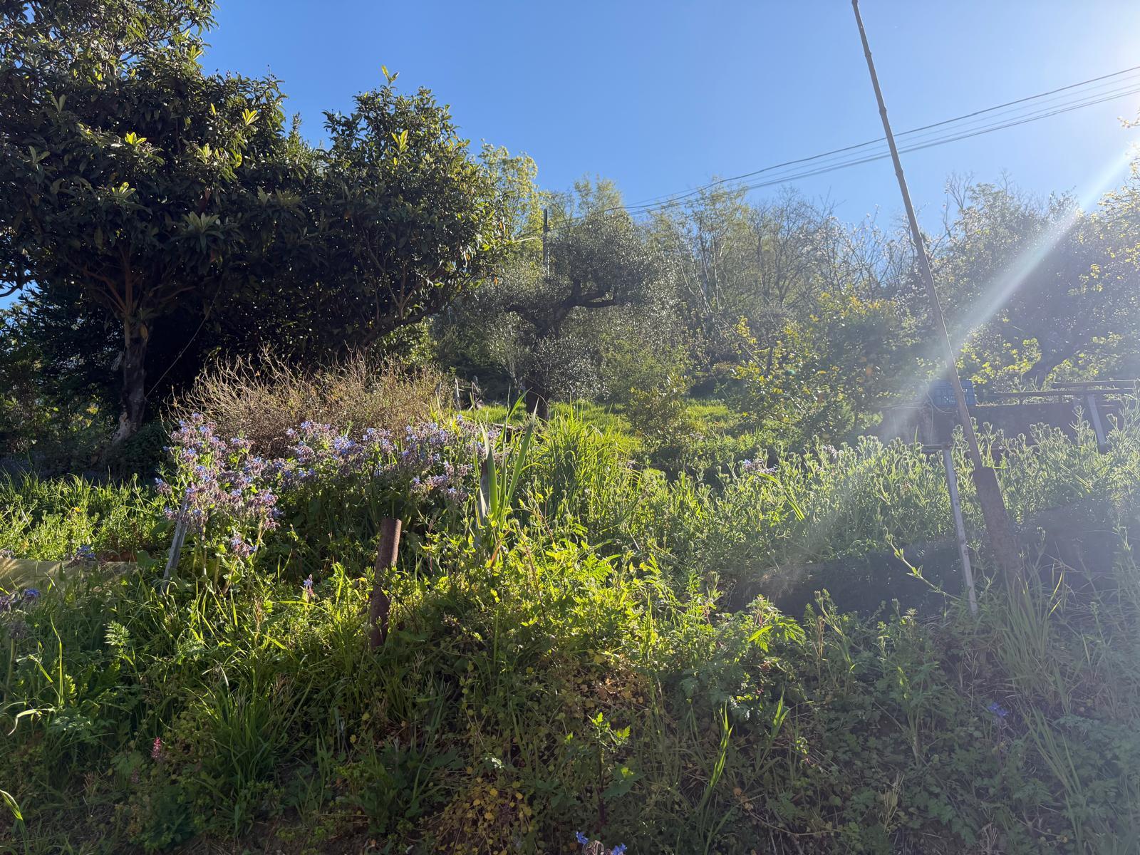 Casa indipendente con giardino in vicolo san lorenzo 2, Ortonovo