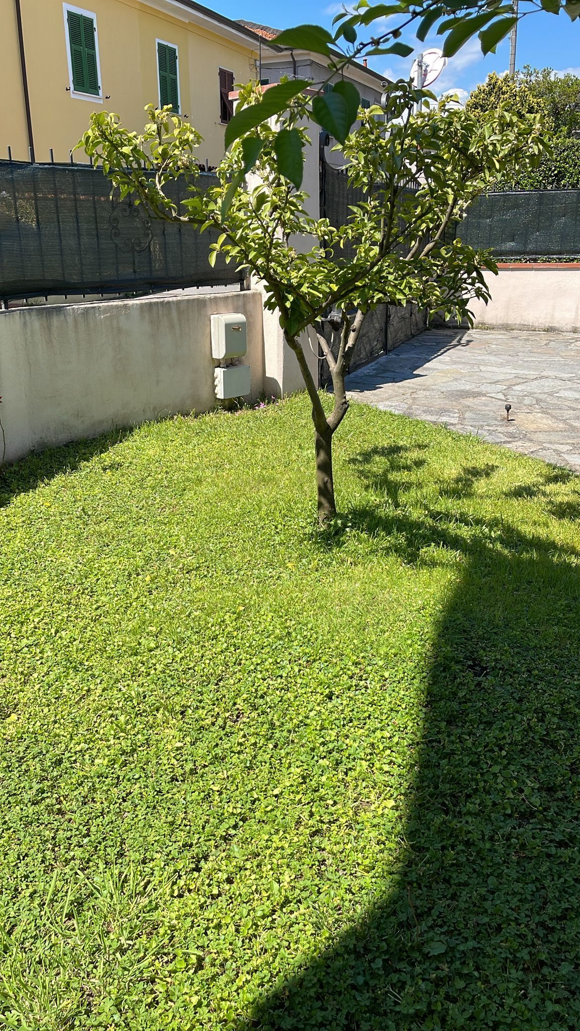 Casa indipendente con giardino in via rigazzo 1, Sarzana