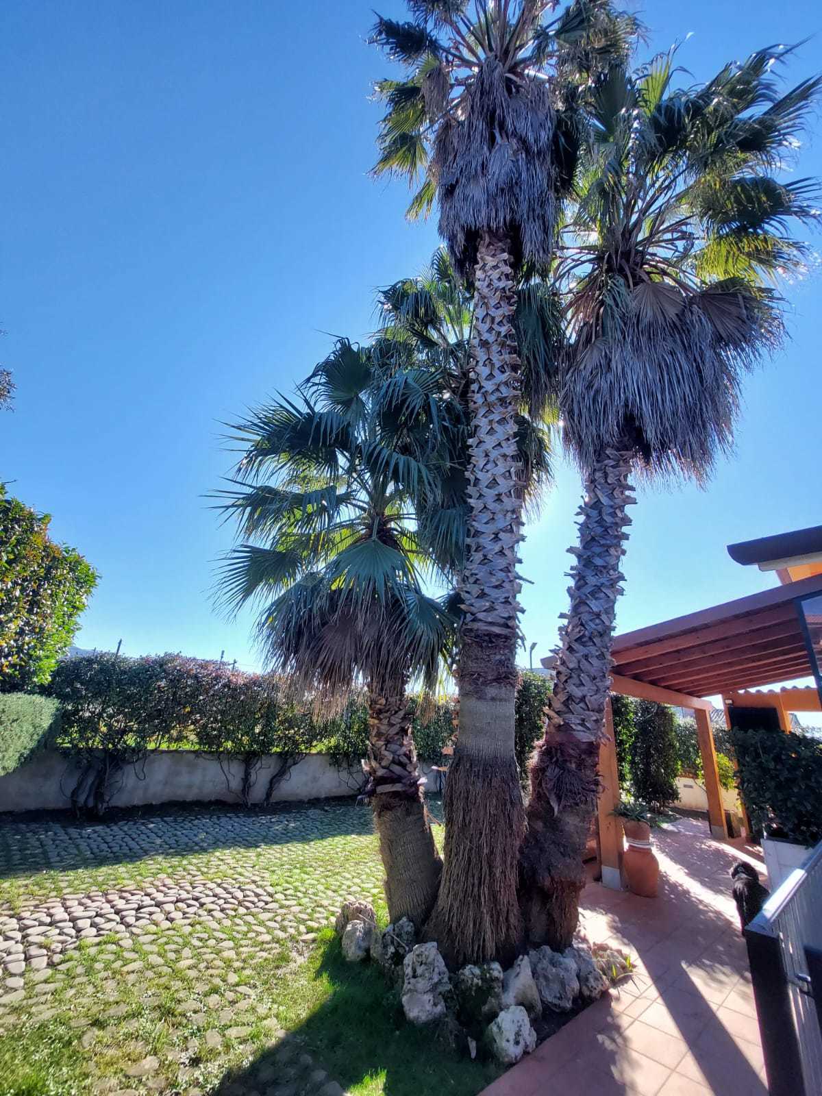 Casa indipendente con giardino in via delle colline 12, Castelnuovo Magra