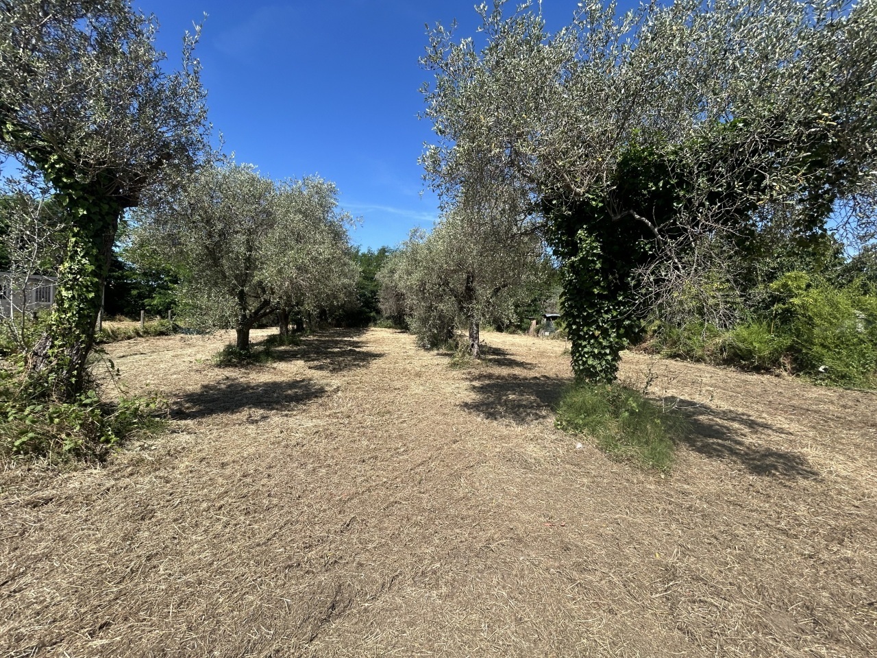 Terreno Edificabile con giardino in via isola 44, Ortonovo