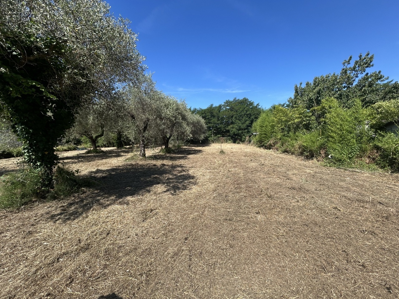 Terreno Edificabile con giardino in via isola 44, Ortonovo