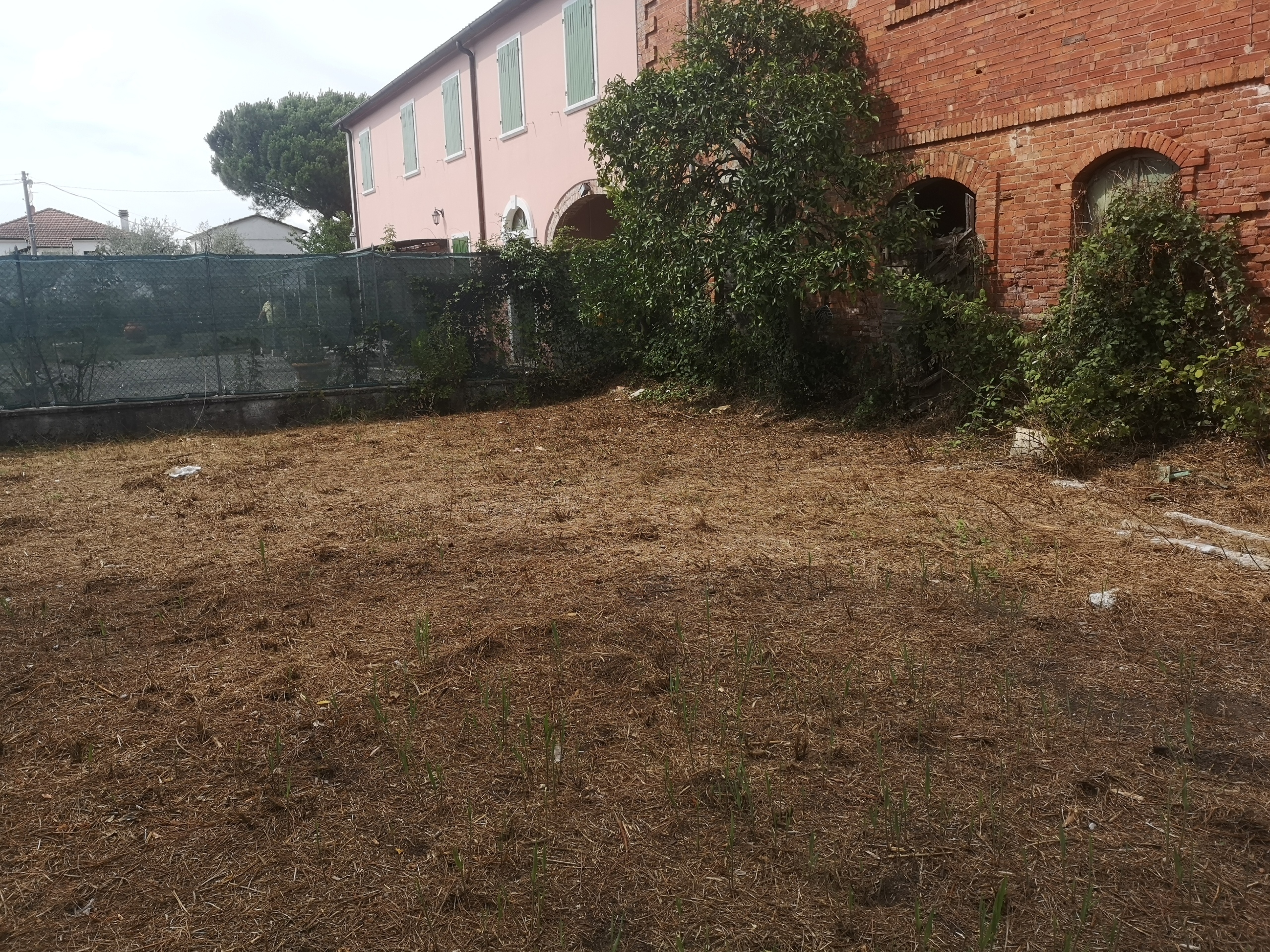 Casa indipendente da ristrutturare in via tavolara 59, Castelnuovo Magra
