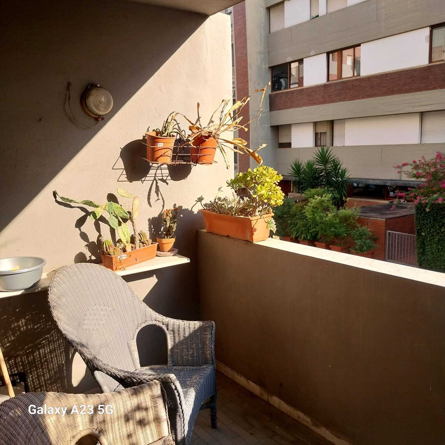 Appartamento in vendita in ruga alfio maggiani 68bis, Carrara