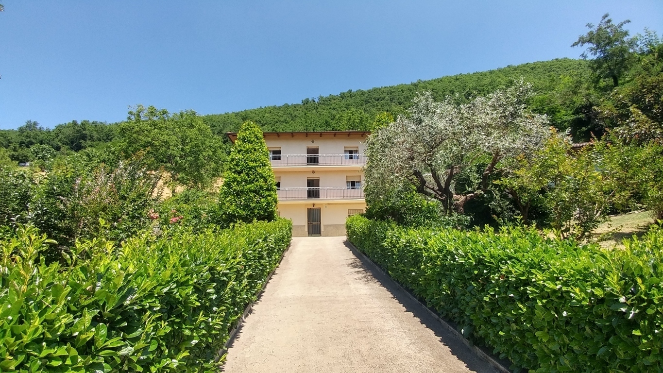 immagine annuncio 1 di 6