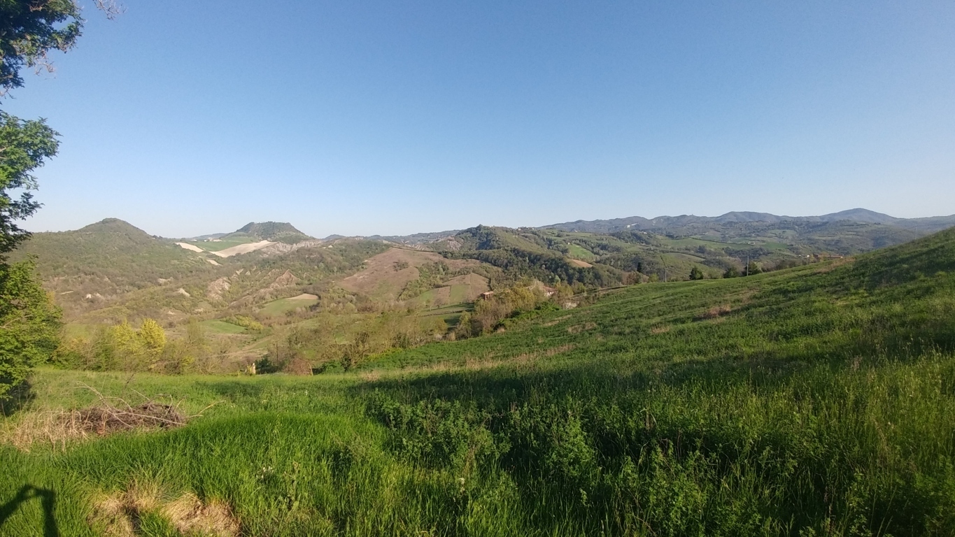 Terreno Agricolo in vendita in via castello 45, Monte San Pietro