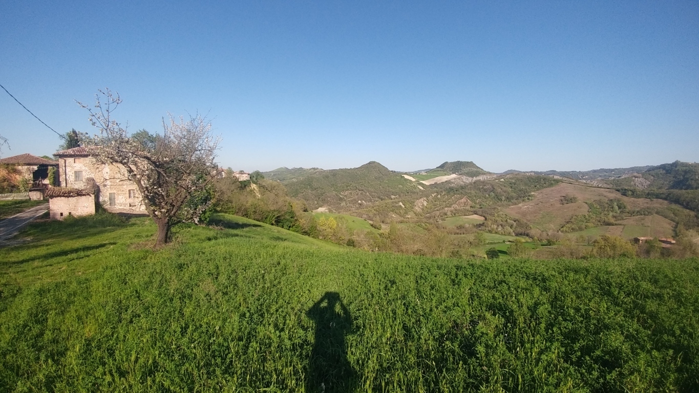 Terreno Agricolo in vendita in via castello 45, Monte San Pietro