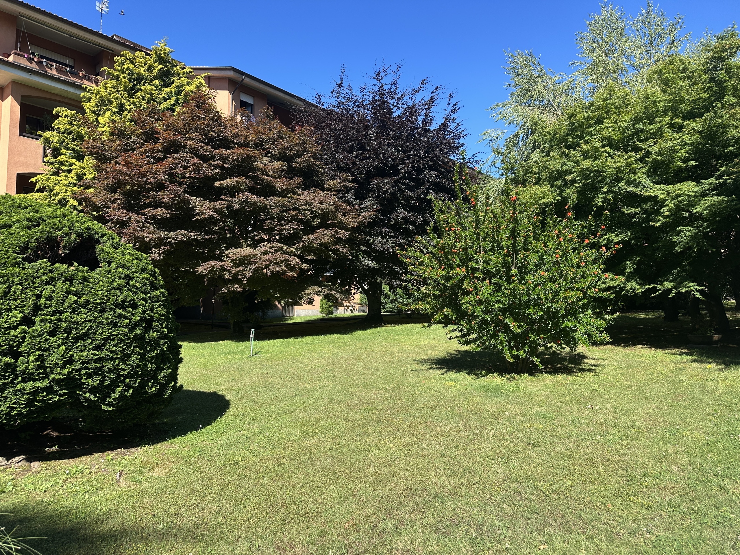 Trilocale con giardino in via xxiv maggio, Arona