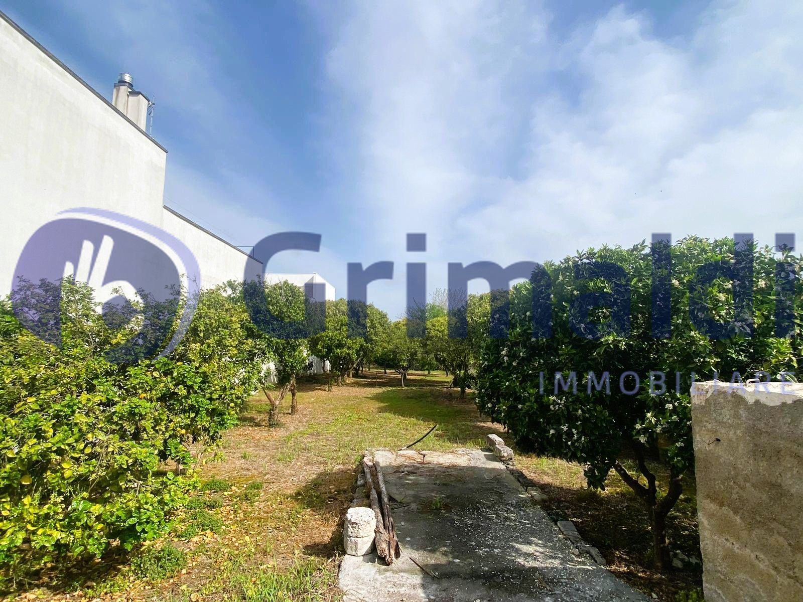 Terreno Agricolo in vendita in via santa lucia 44, Scorrano