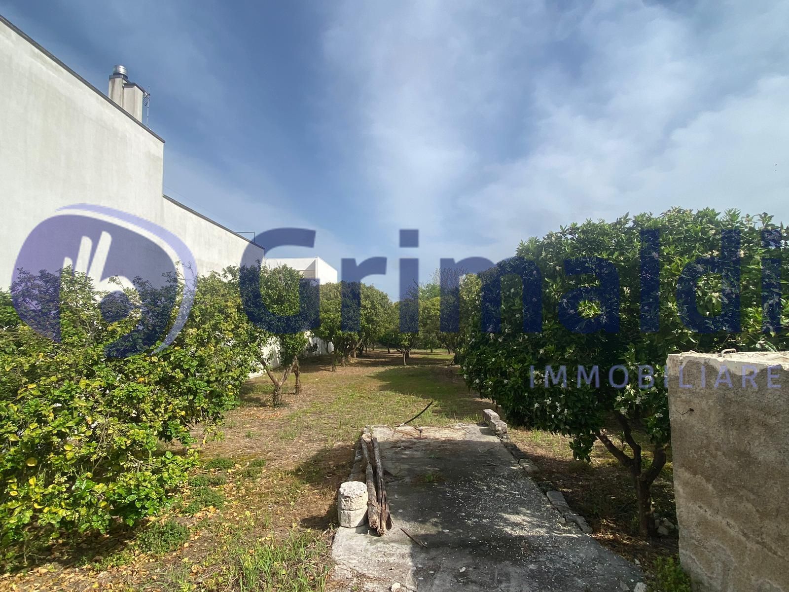 Terreno Agricolo in vendita in via santa lucia 44, Scorrano