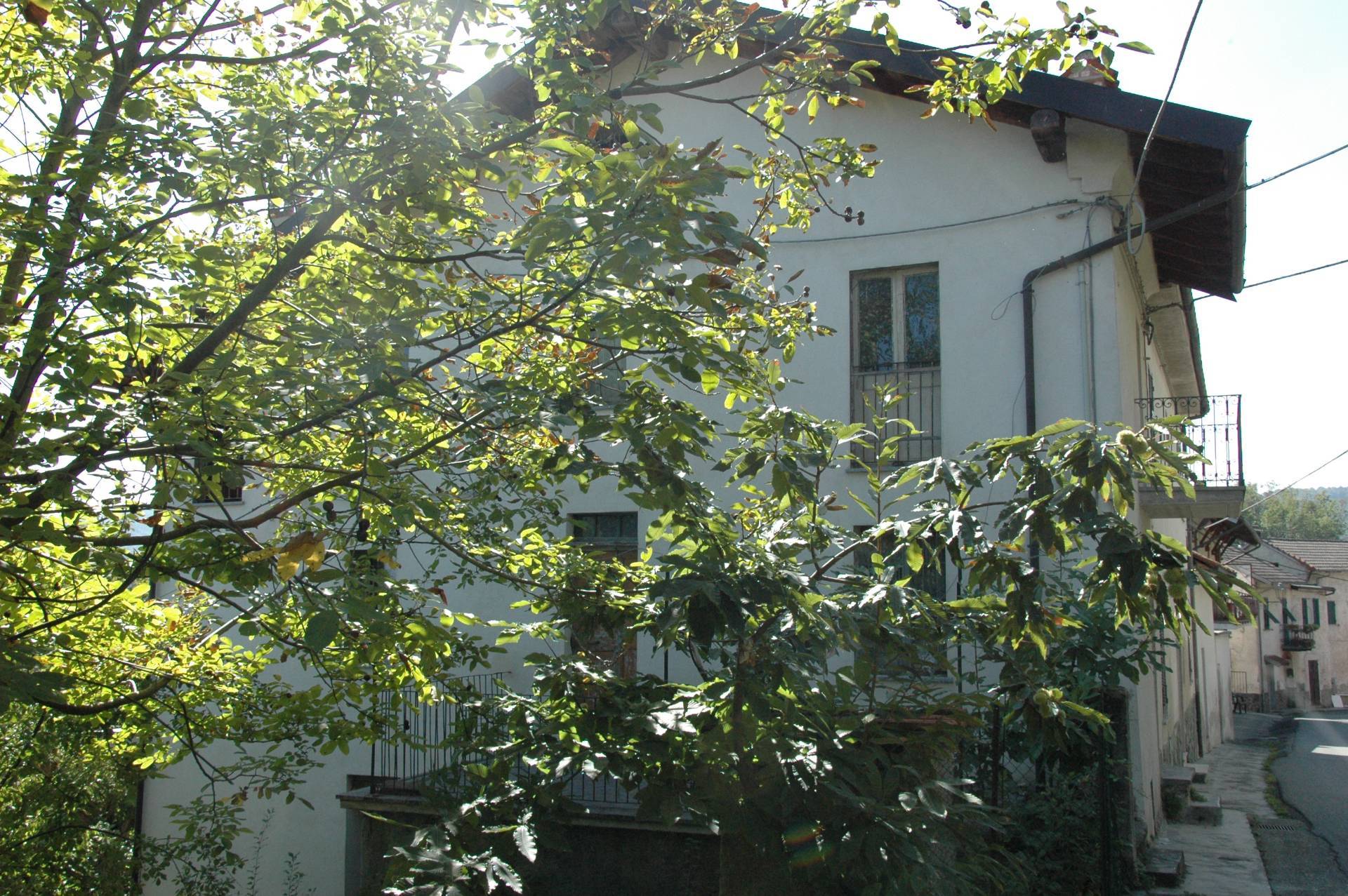 immagine annuncio 3 di 6