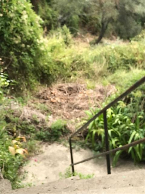 Casa singola in vendita a Rapallo, San Martino di Noceto