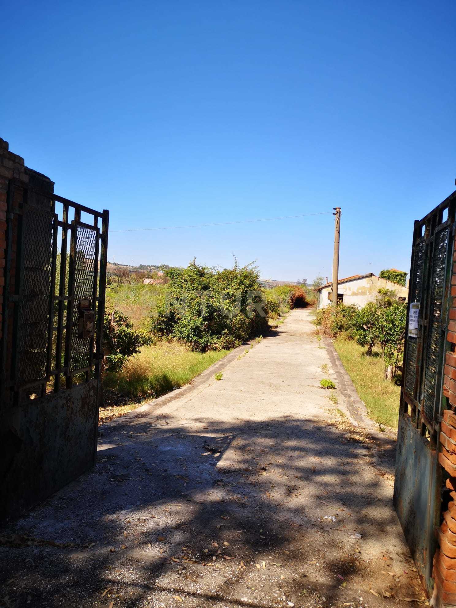 immagine annuncio 1 di 6