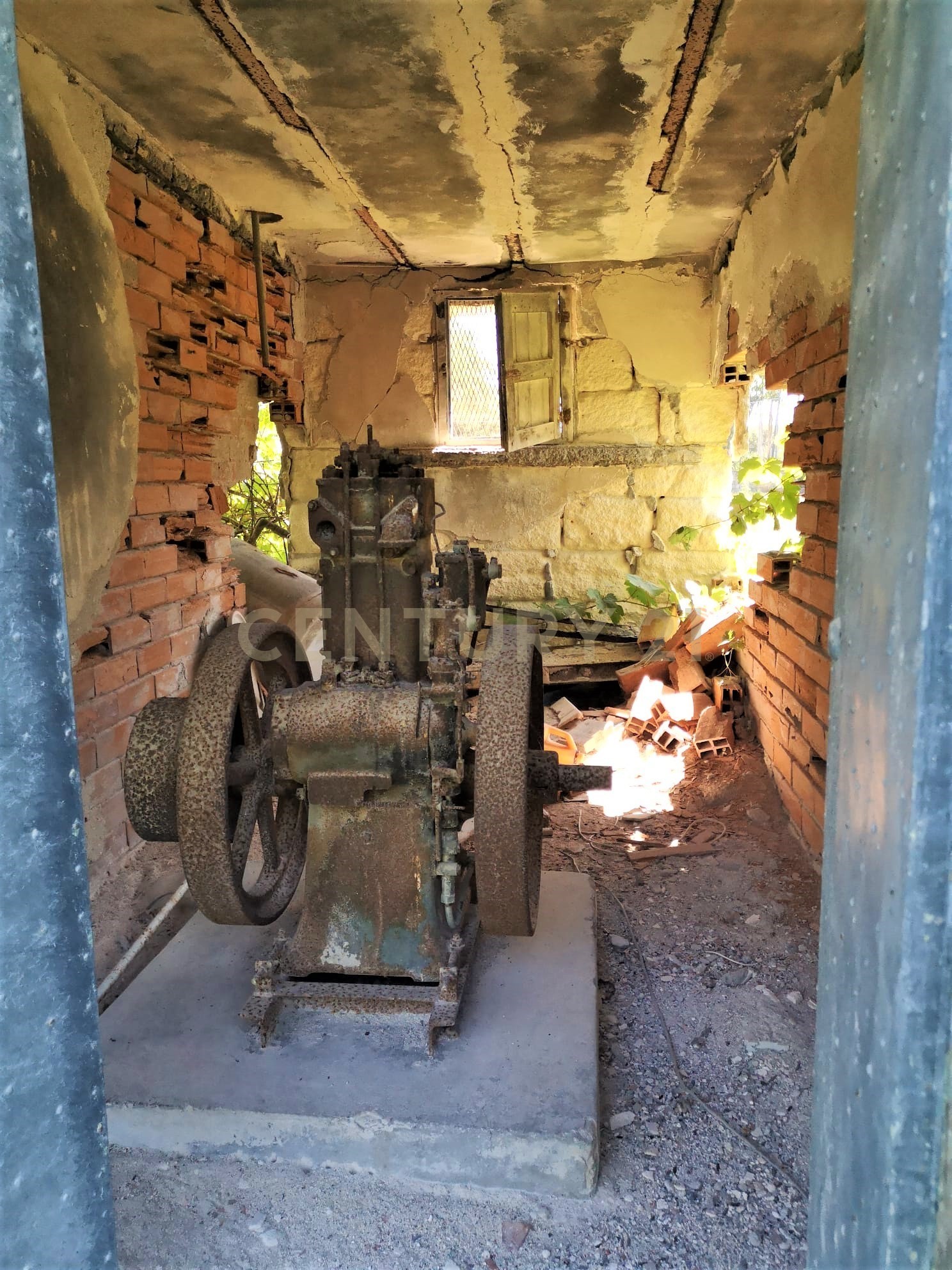 immagine annuncio 5 di 6
