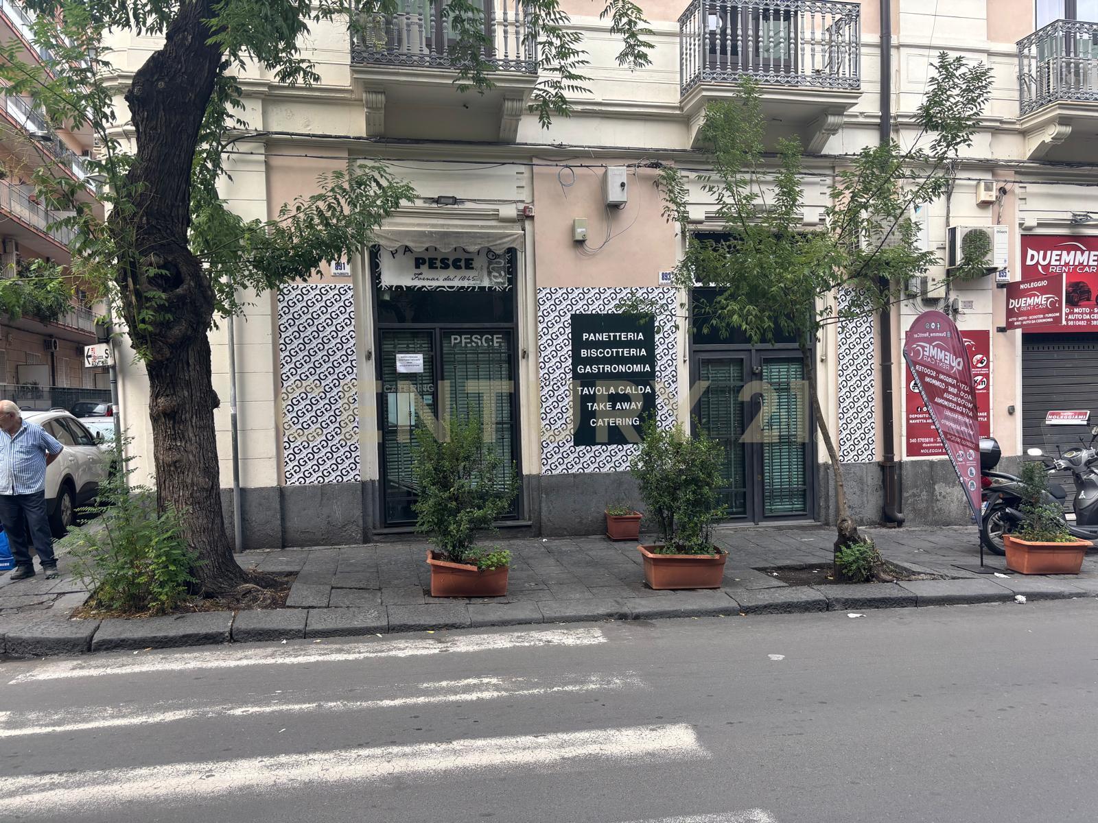 Casa indipendente con giardino in via plebiscito 891, Catania