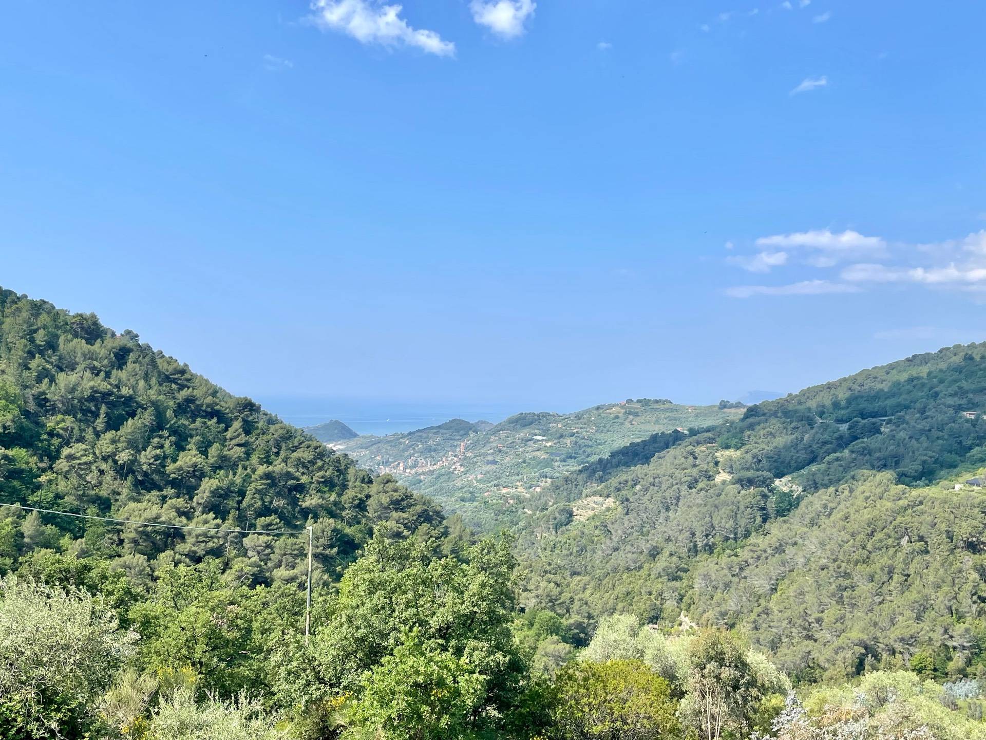 immagine annuncio 2 di 6