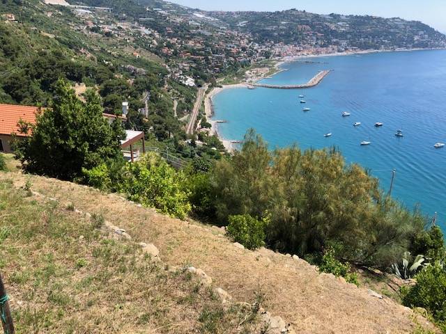 immagine annuncio 4 di 6