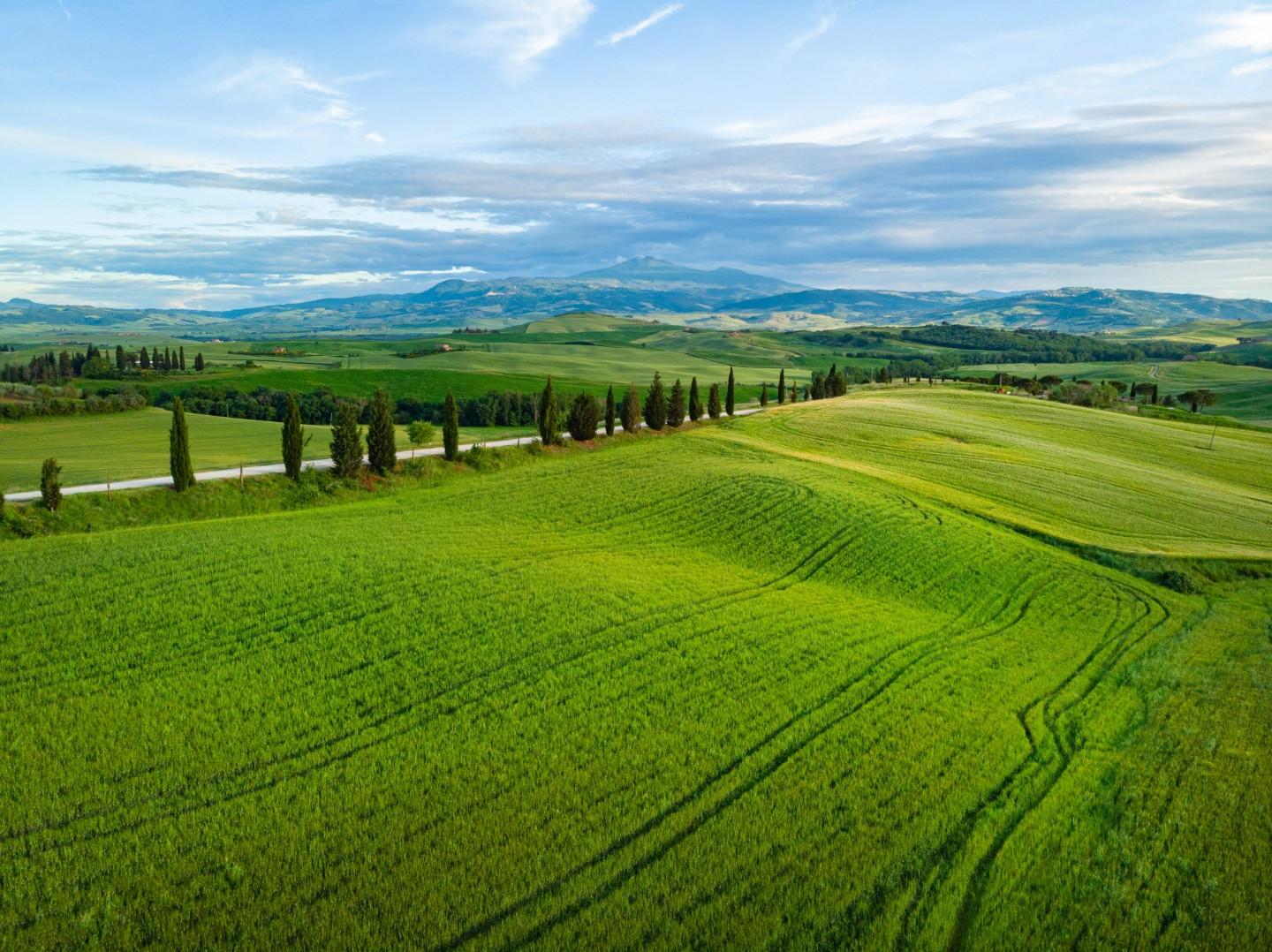 Terreno Agricolo in vendita a Brozolo