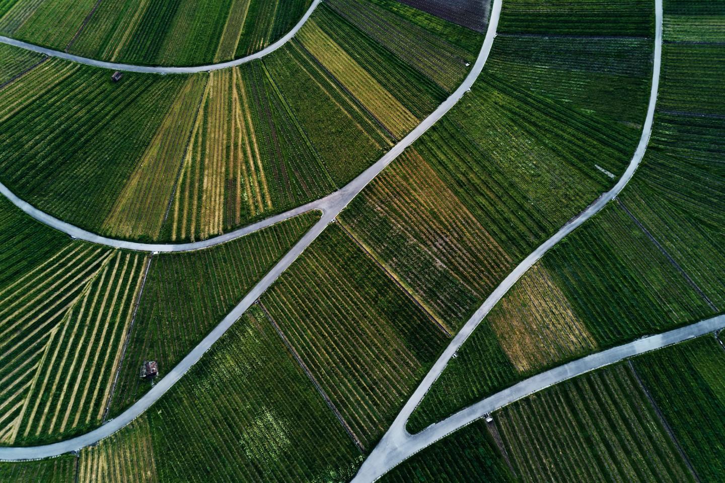 Terreno Agricolo in vendita a Balangero