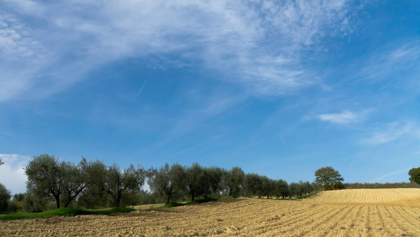 Terreno Edificabile in vendita a Pinerolo