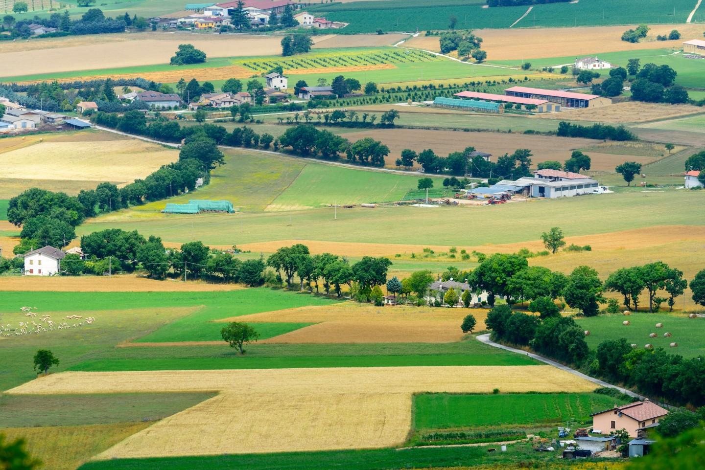 Terreno Agricolo in vendita a Barbania