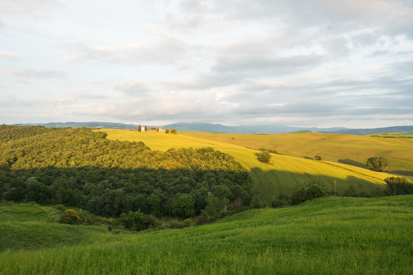 Terreno Agricolo in vendita a Barbania