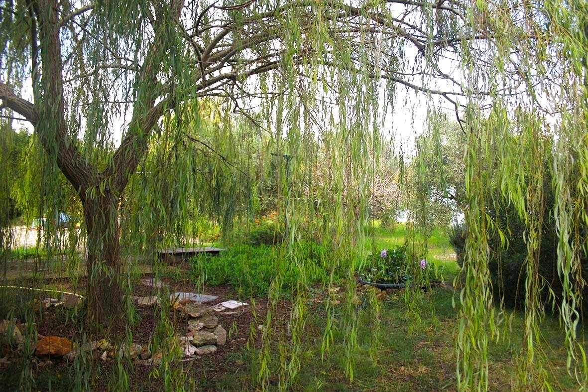 Casa indipendente con giardino in strada nuraghe santa caterina, Olmedo