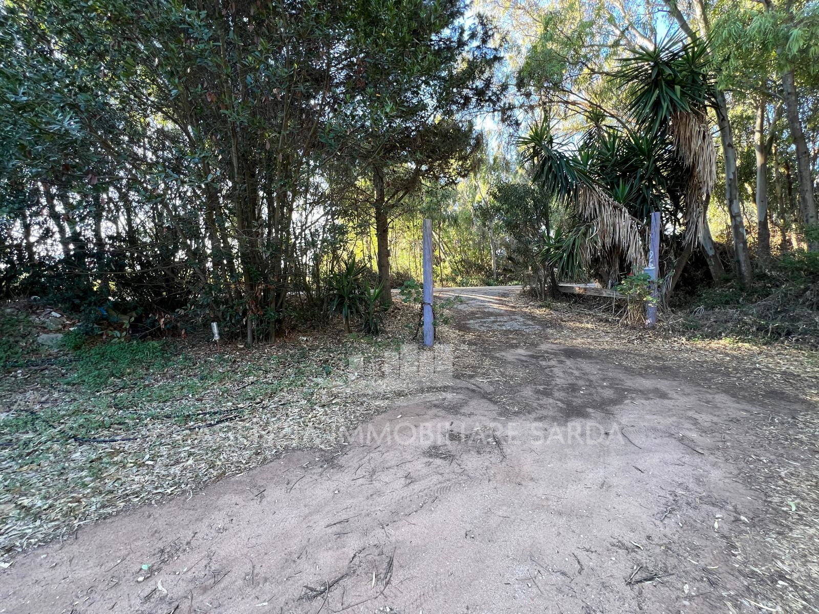 Trilocale con giardino a Alghero