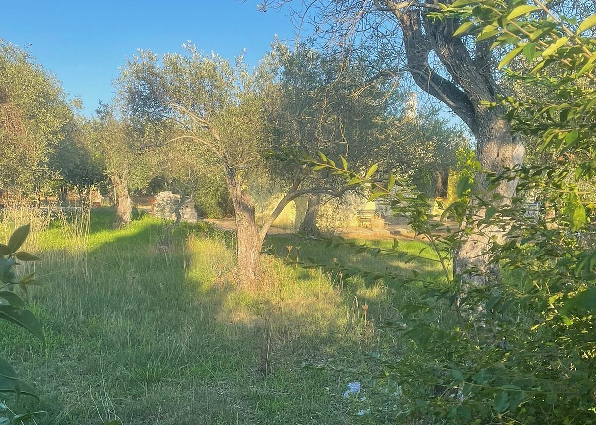 Casa indipendente con giardino a Sorso