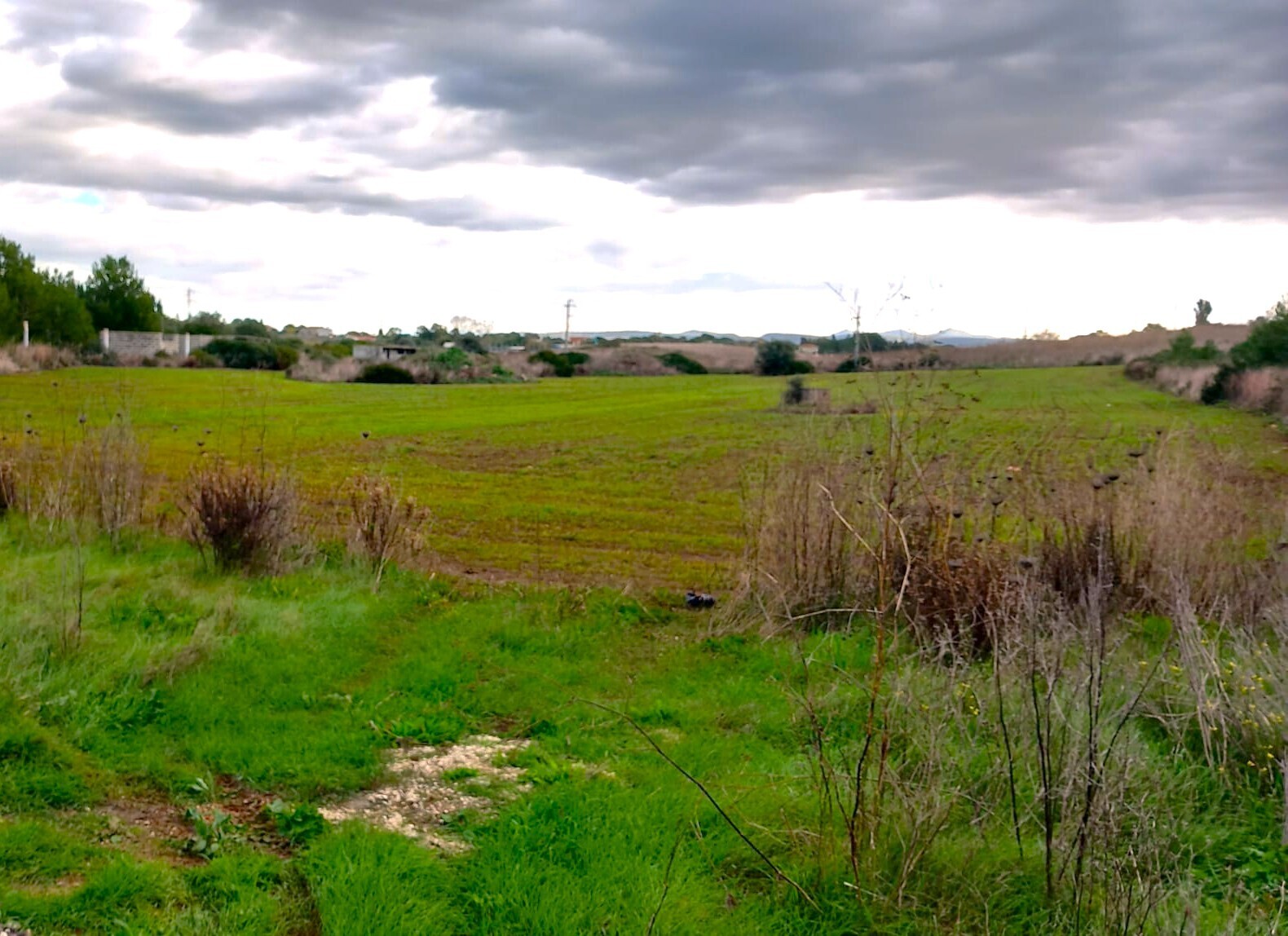 Terreno Edificabile in vendita, Sassari ottava