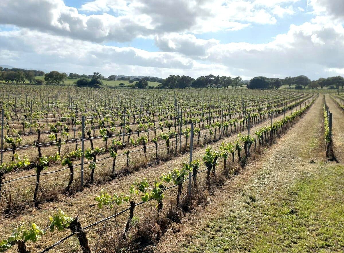 Casa indipendente con giardino a Alghero