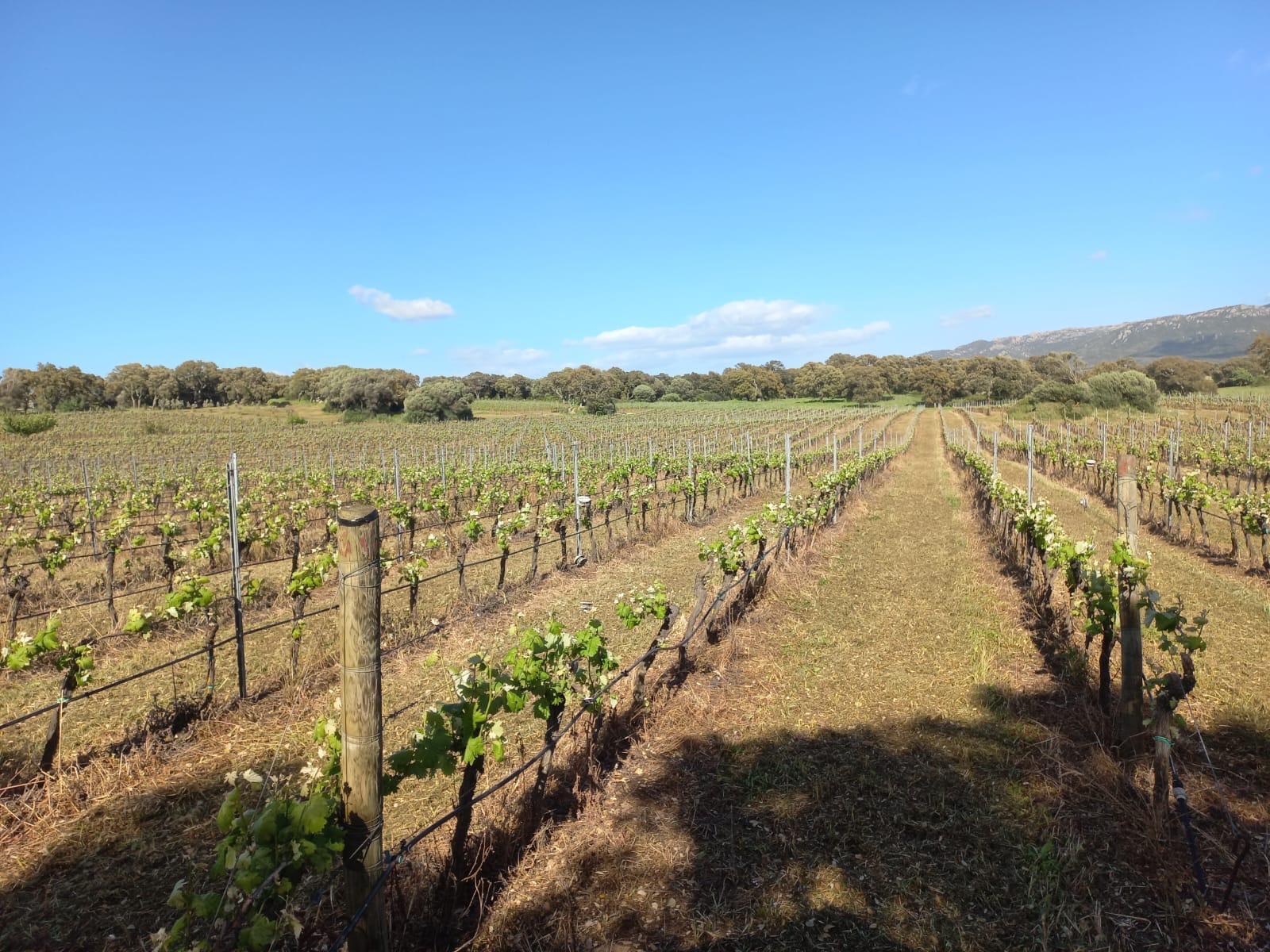 Casa indipendente con giardino a Alghero