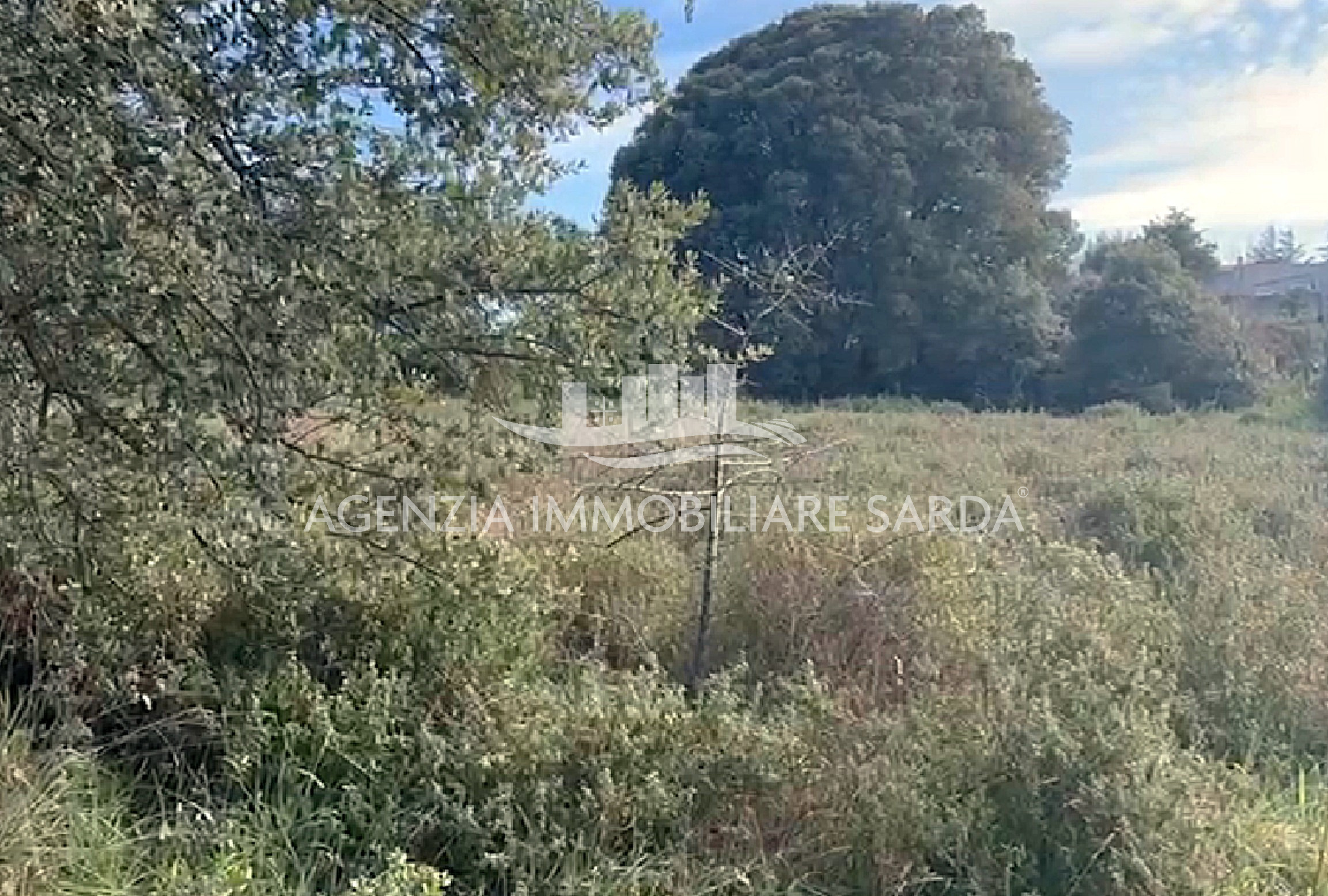 Terreno Edificabile in vendita a Calangianus