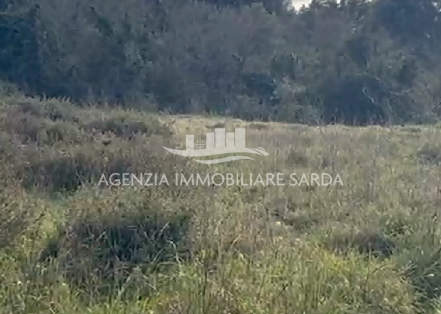 Terreno Edificabile in vendita a Calangianus