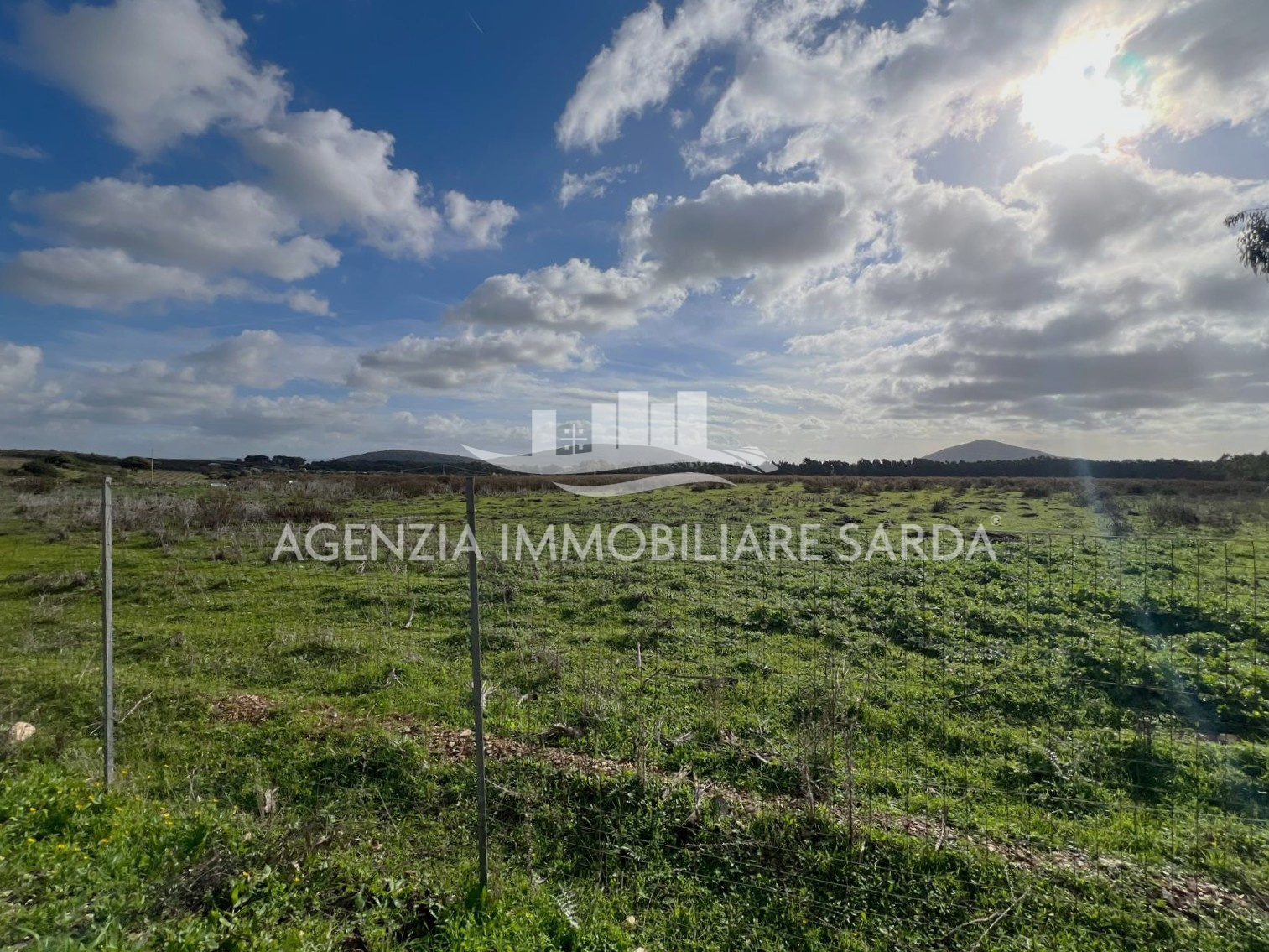 Terreno Agricolo in vendita a Alghero