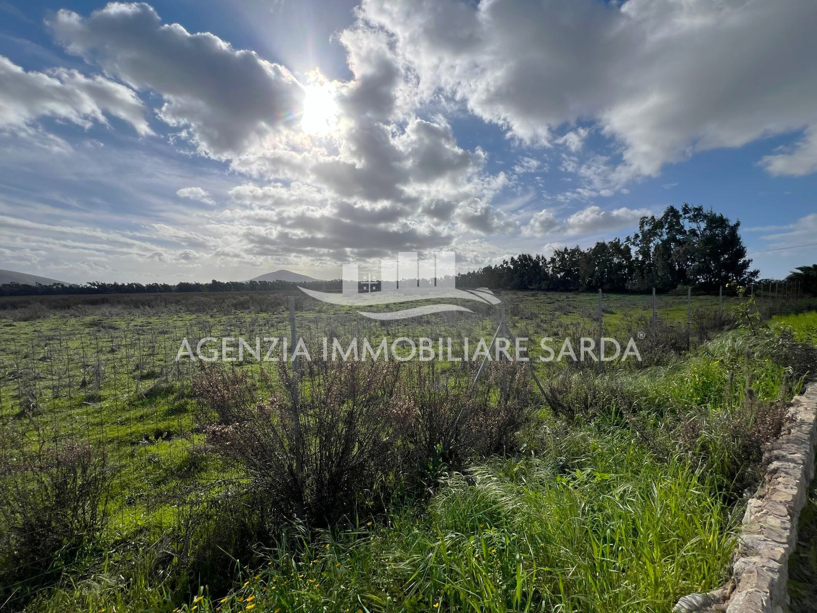 Terreno Agricolo in vendita a Alghero