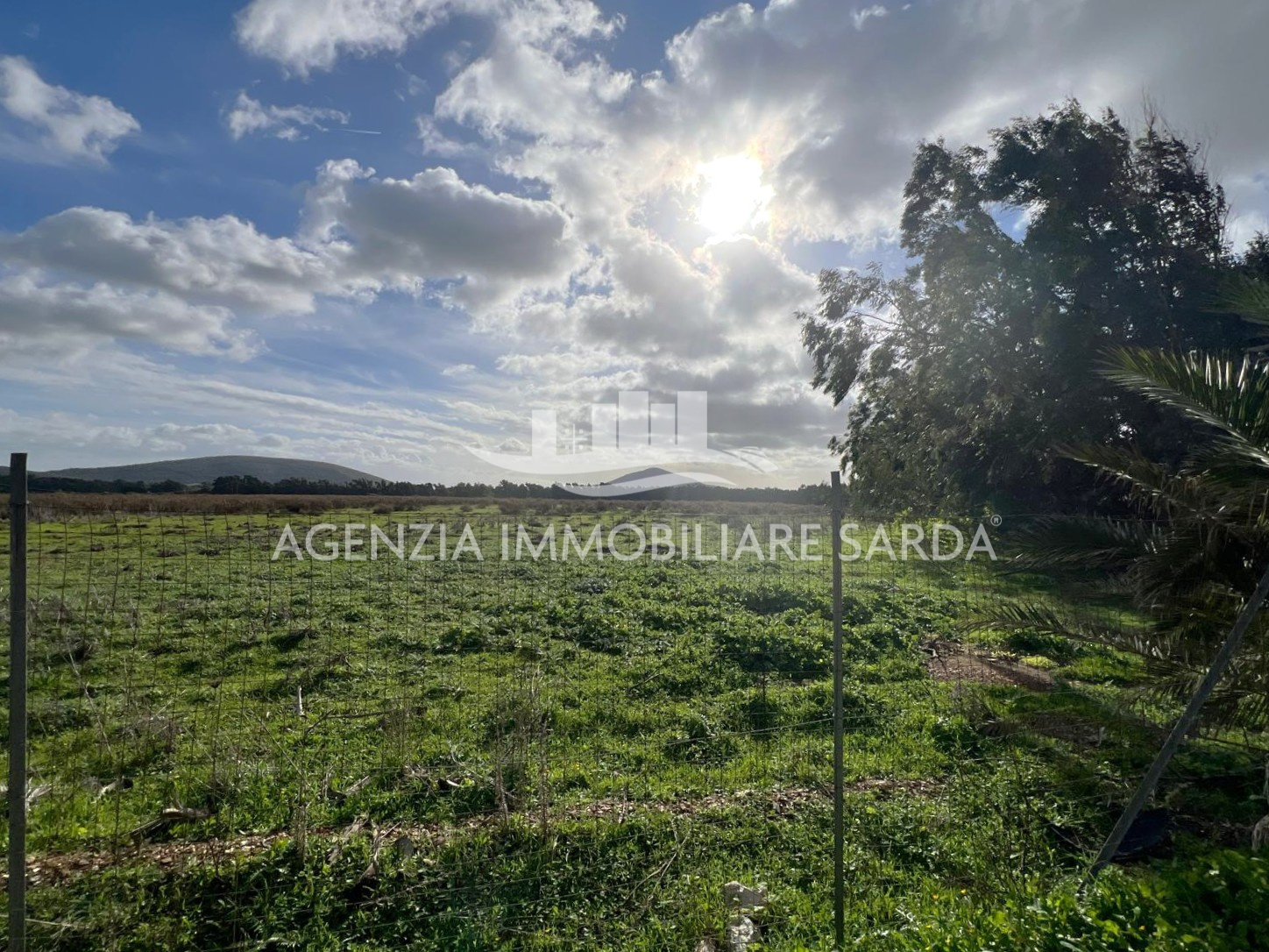 Terreno Agricolo in vendita a Alghero