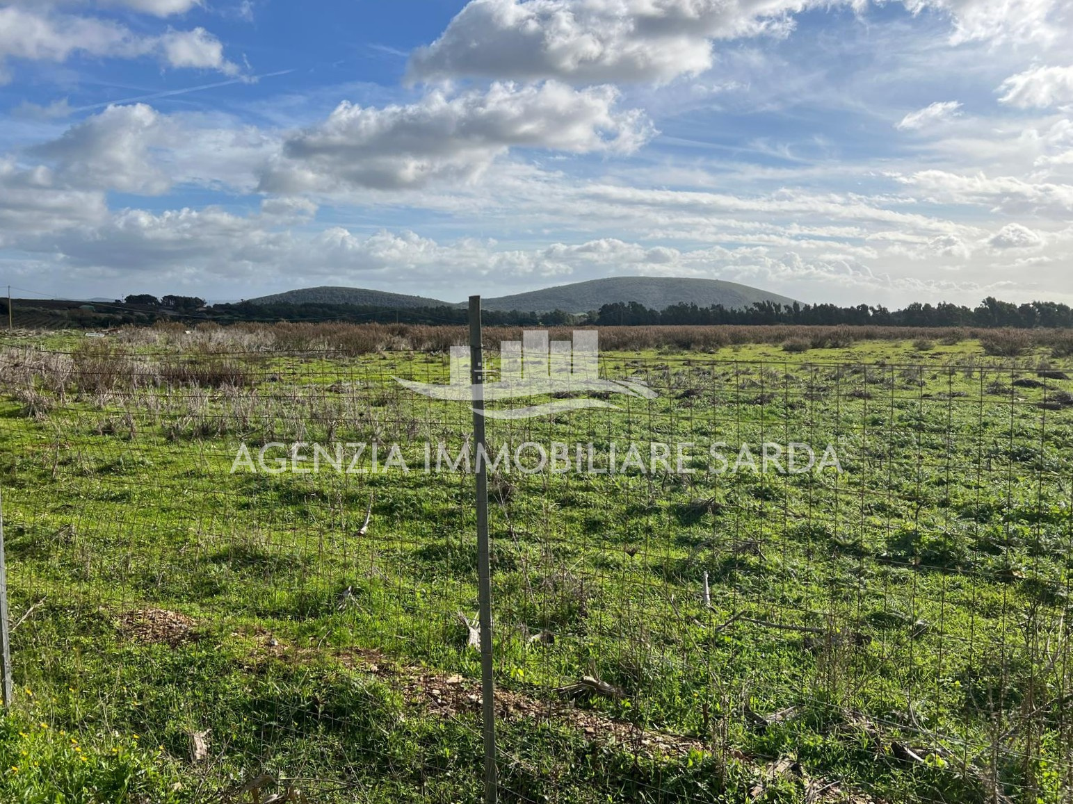 Terreno Agricolo in vendita a Alghero