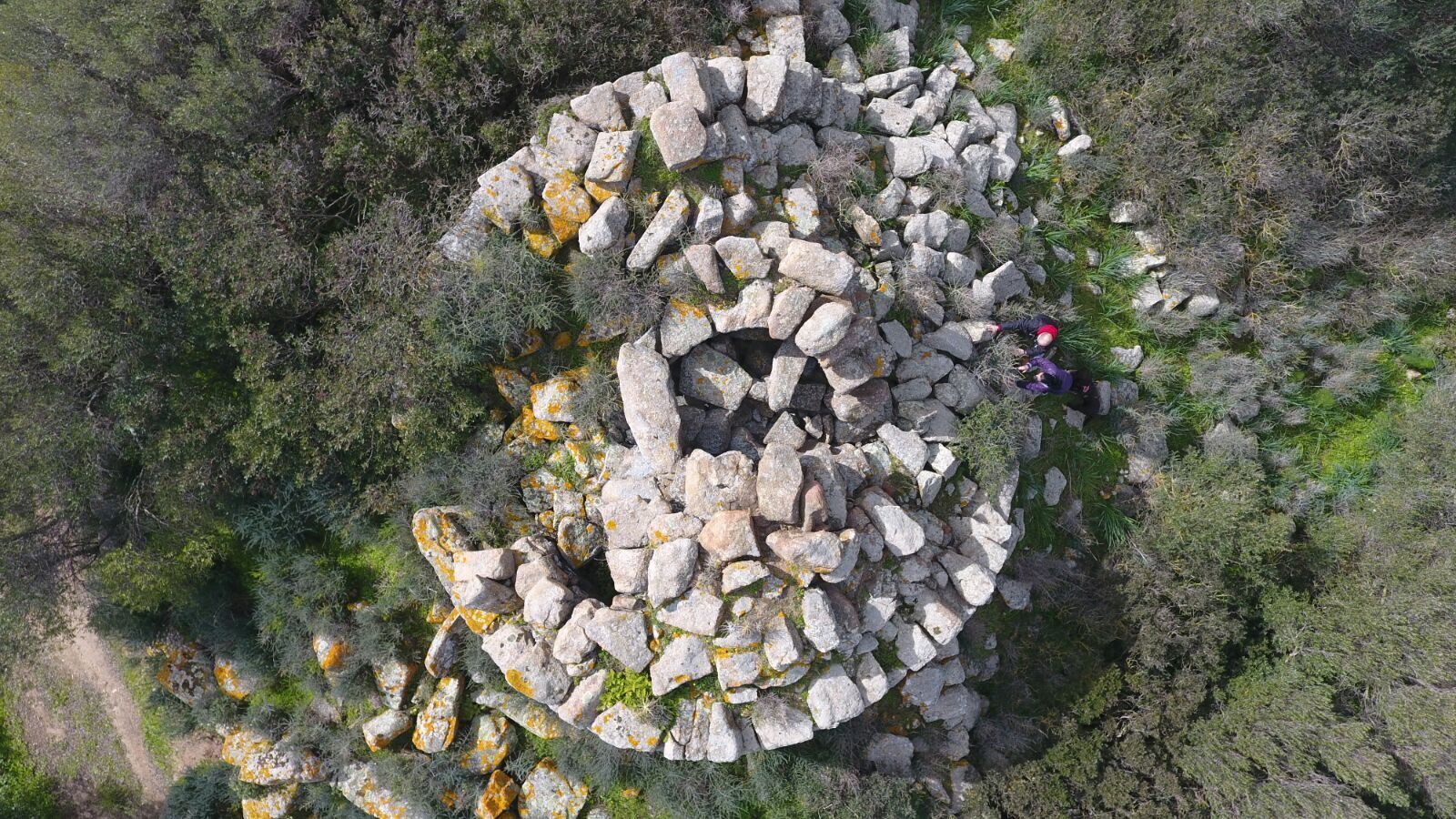 immagine annuncio 3 di 6