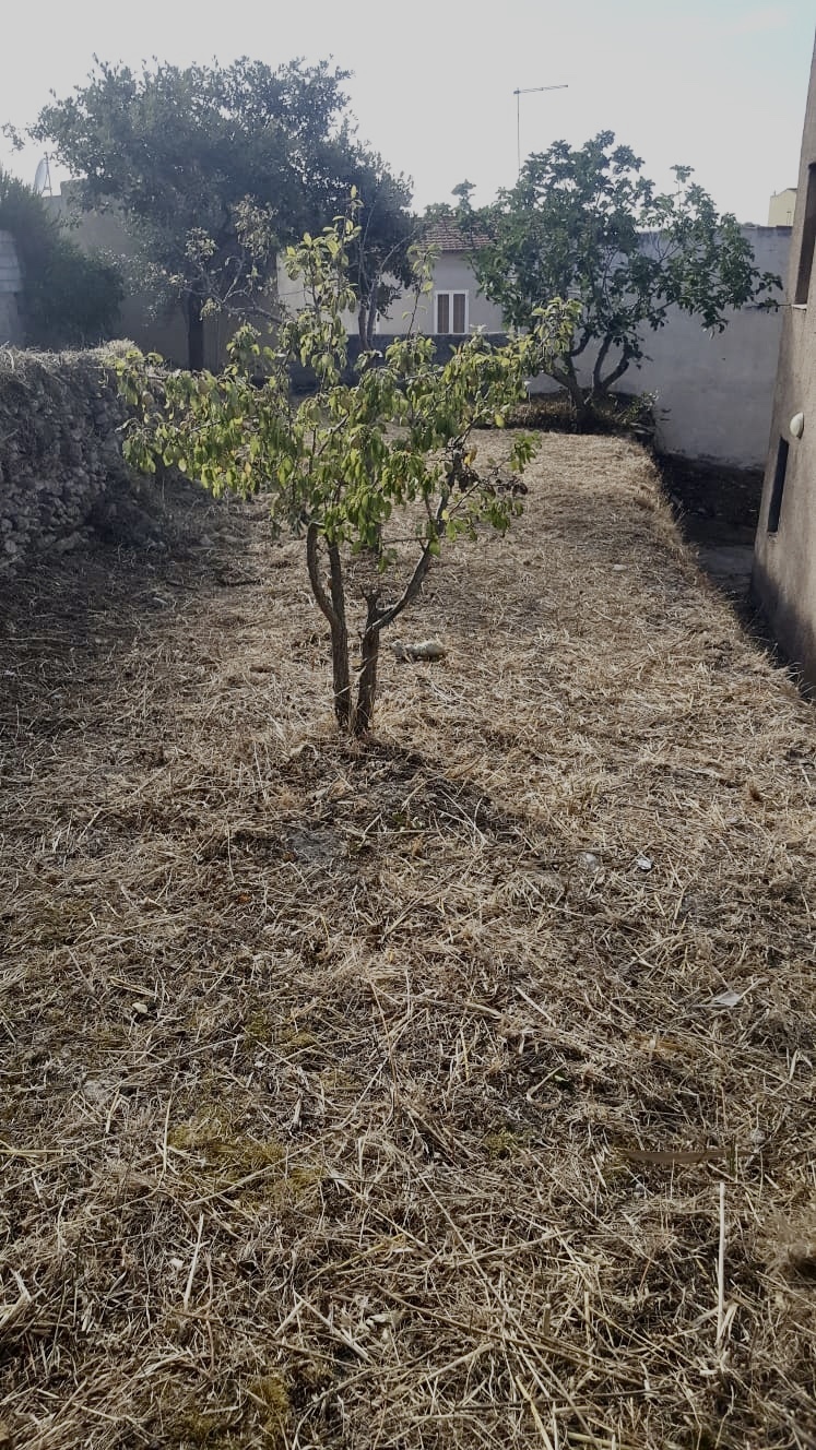 Casa indipendente con giardino a Chiaramonti