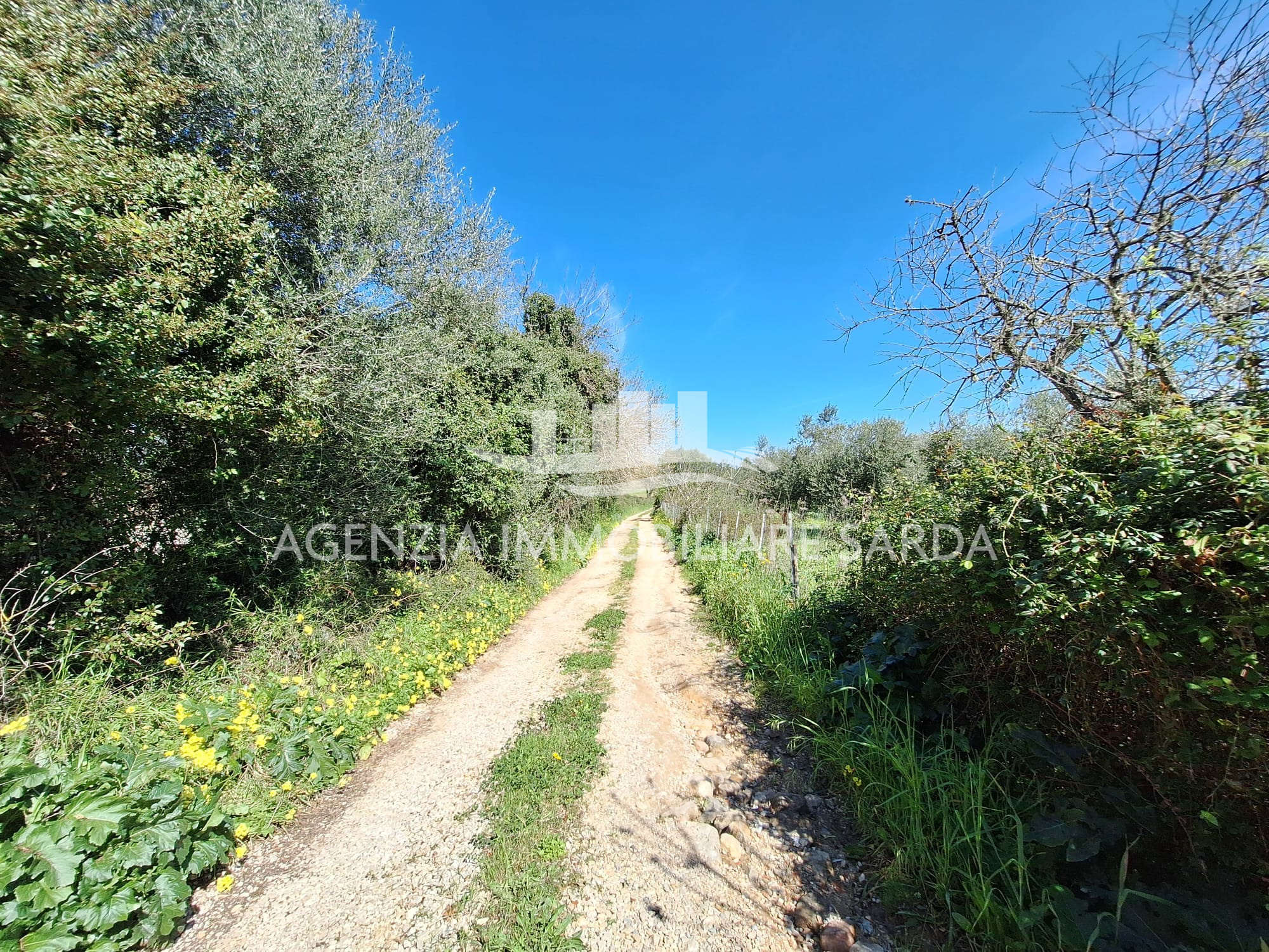 Rustico con giardino a Alghero