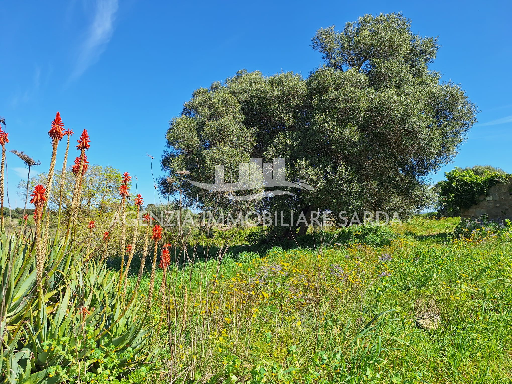 Rustico con giardino a Alghero