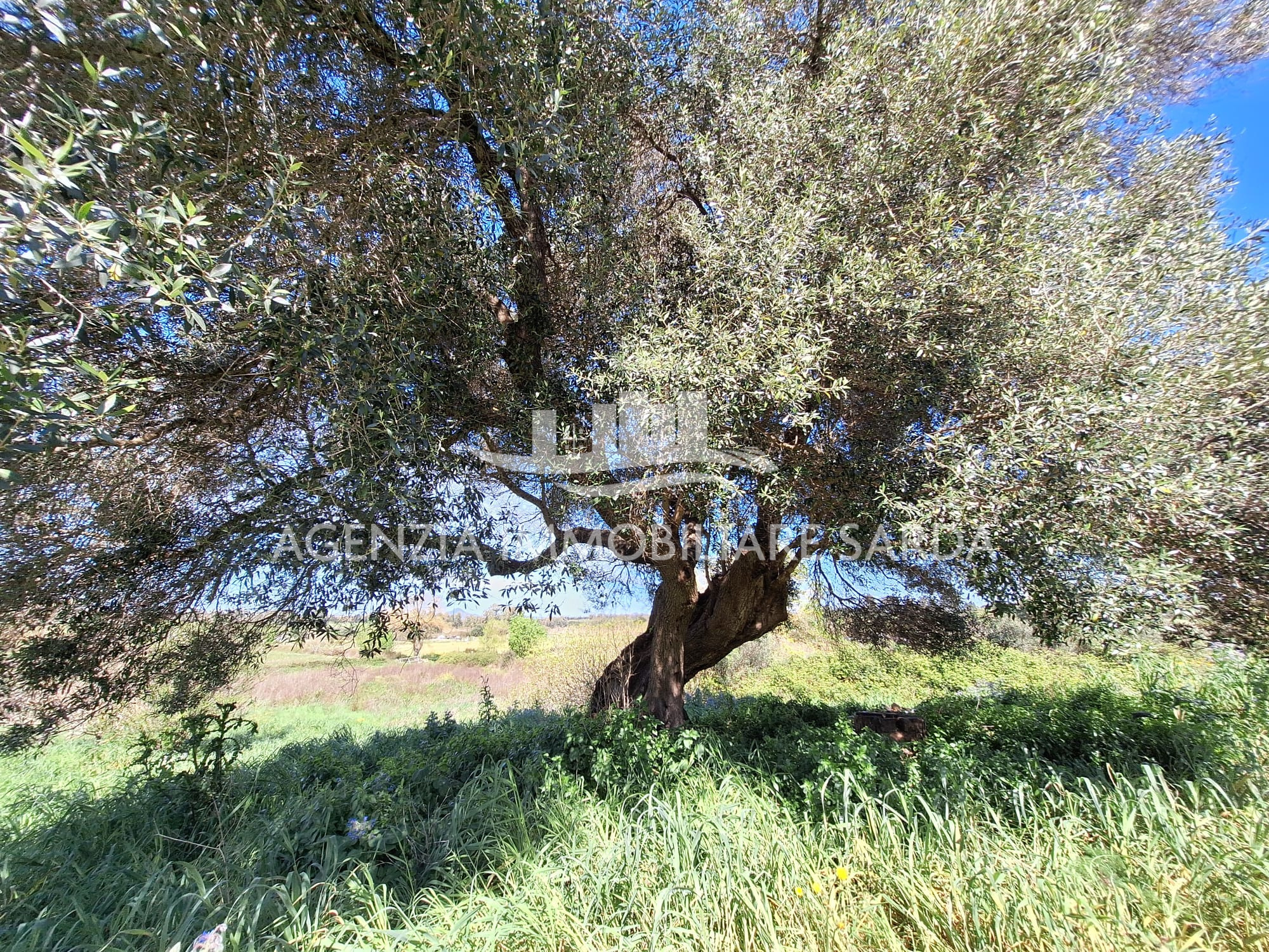 Rustico con giardino a Alghero