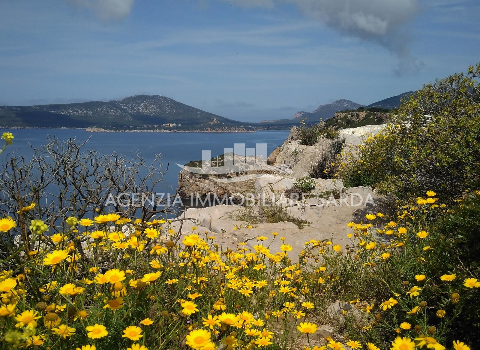 Trilocale con terrazzo a Alghero