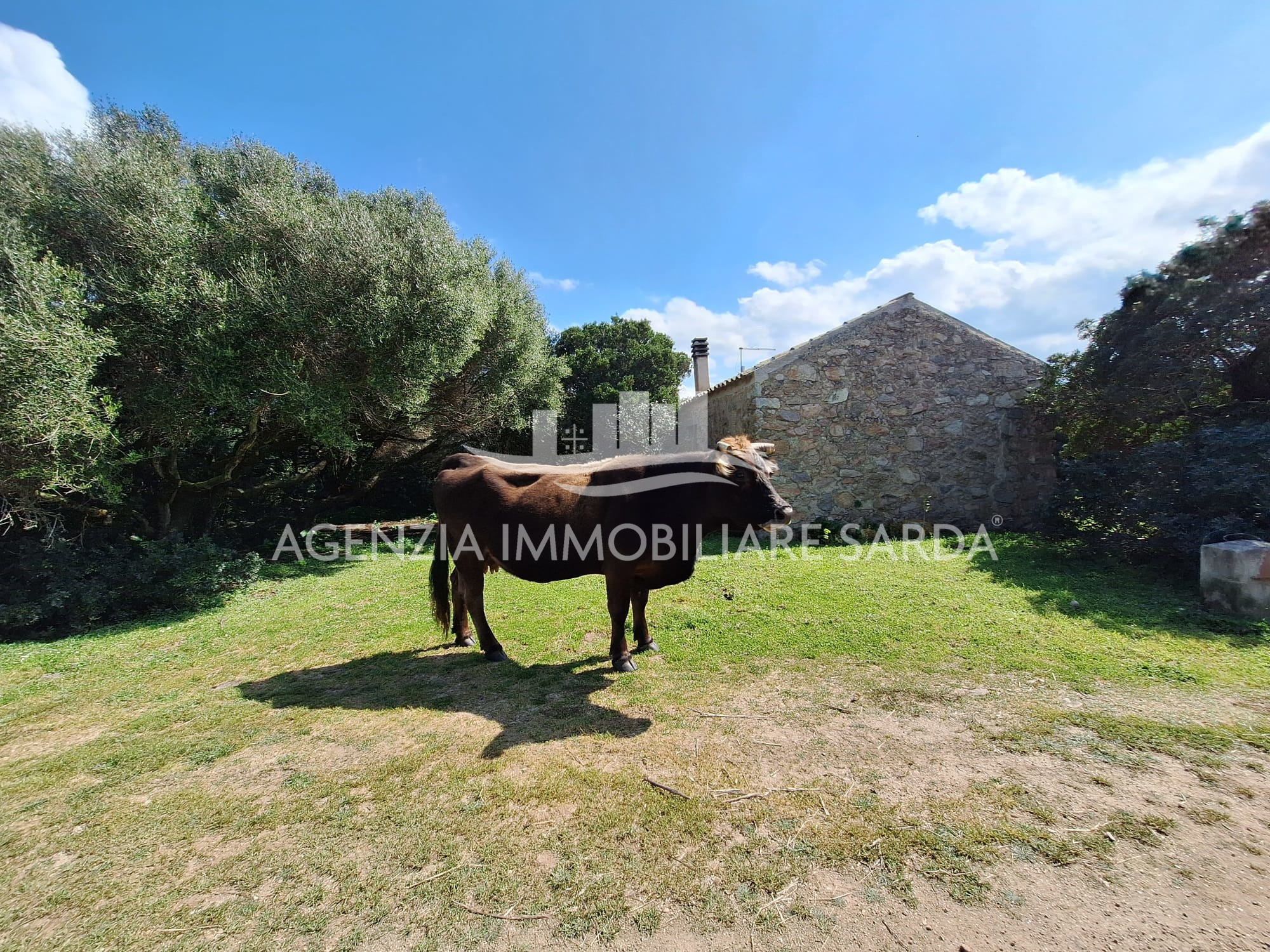 Casa indipendente in vendita a Aglientu