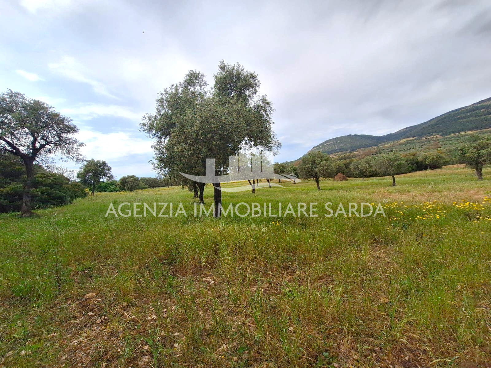 Terreno Edificabile in vendita a Alghero