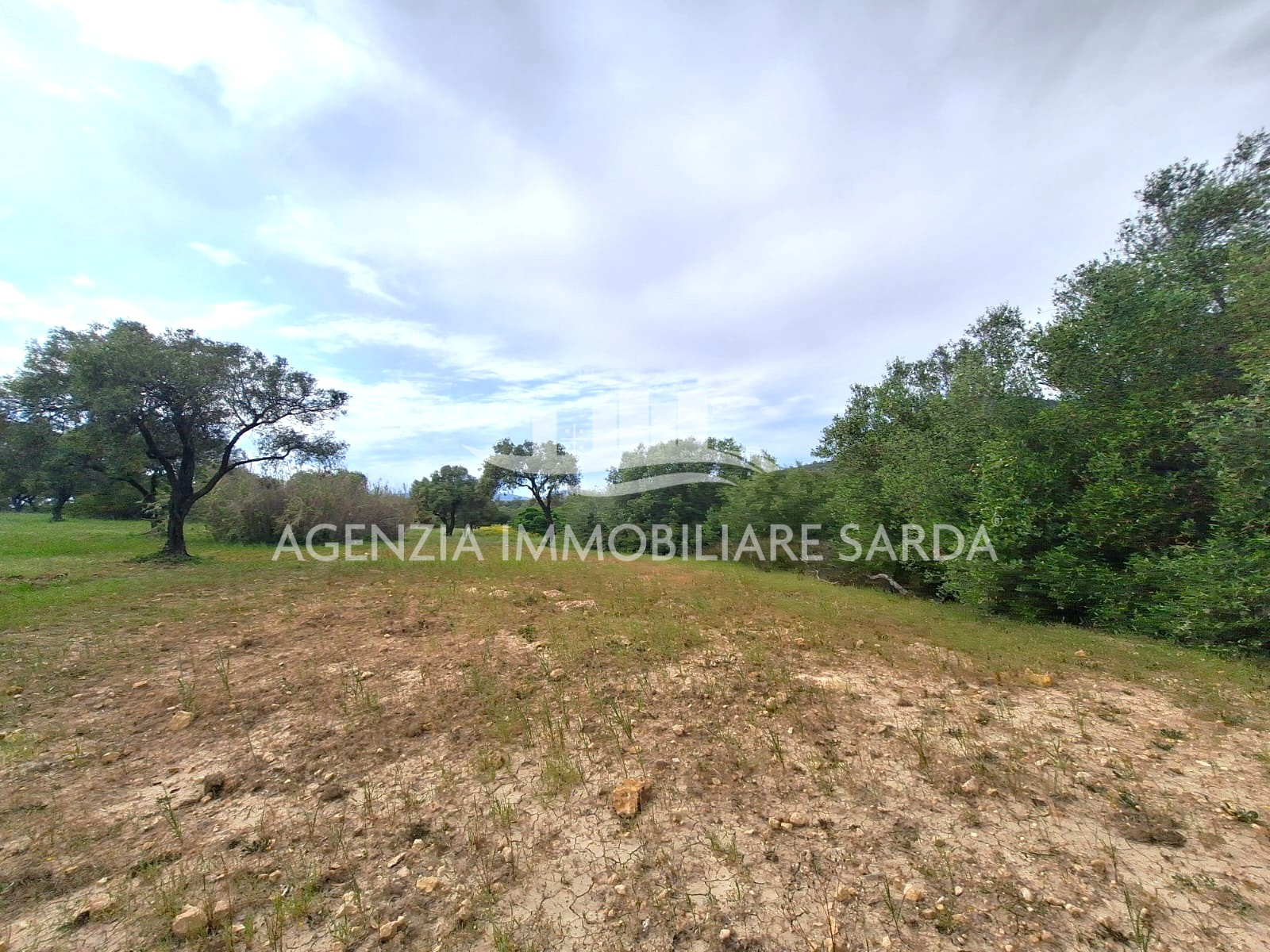 Terreno Edificabile in vendita a Alghero